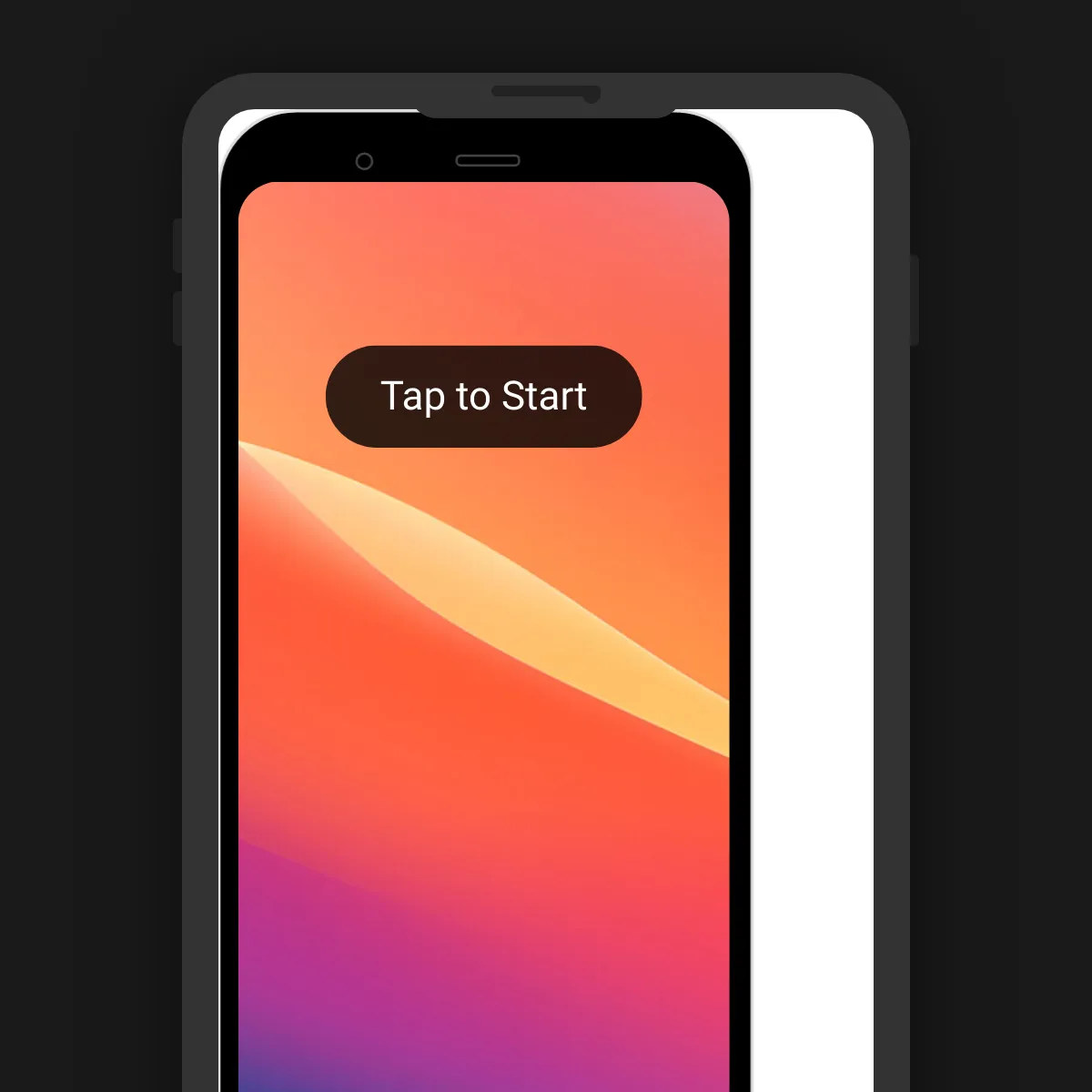 the project is loading