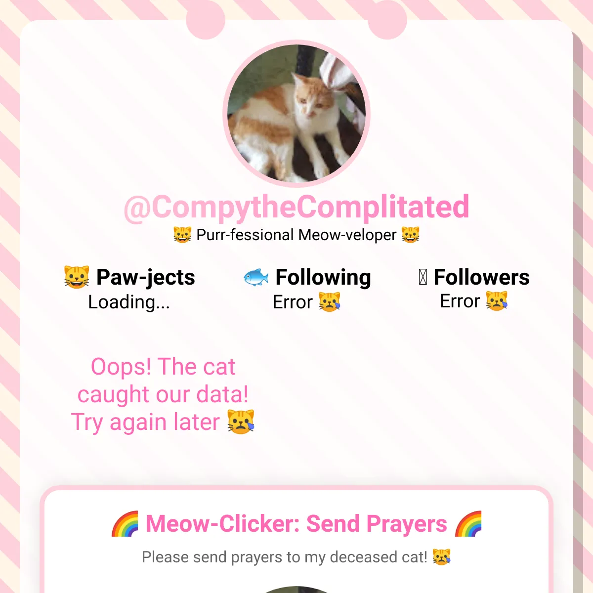 the project is loading