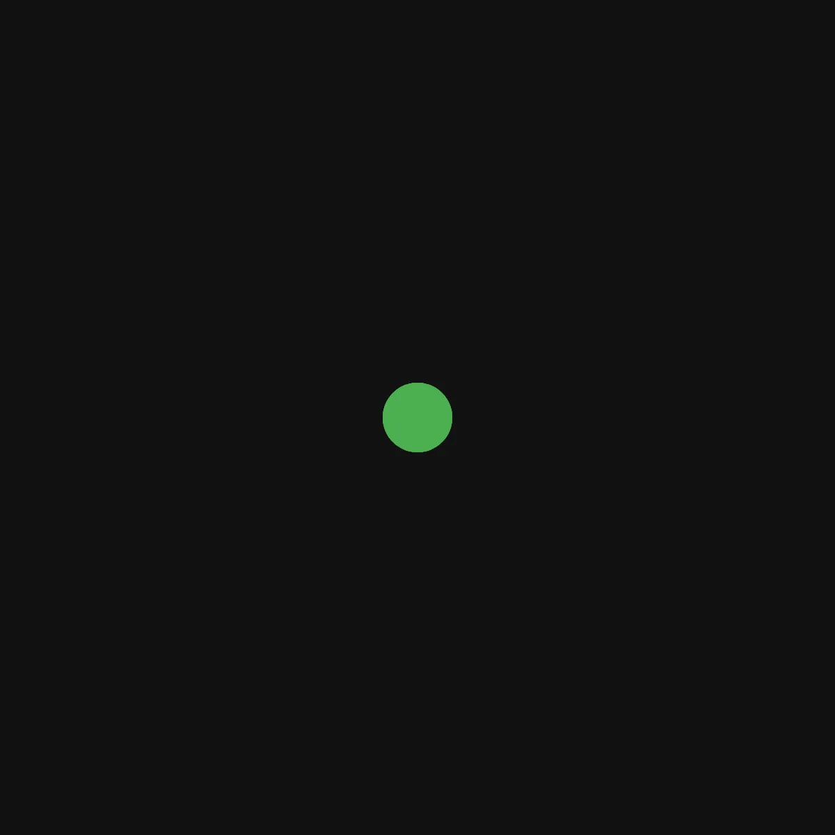 the project is loading