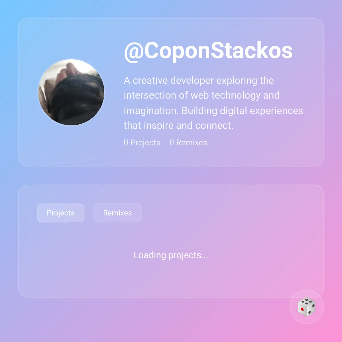 the project is loading