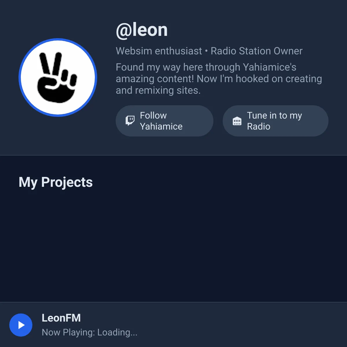 the project is loading