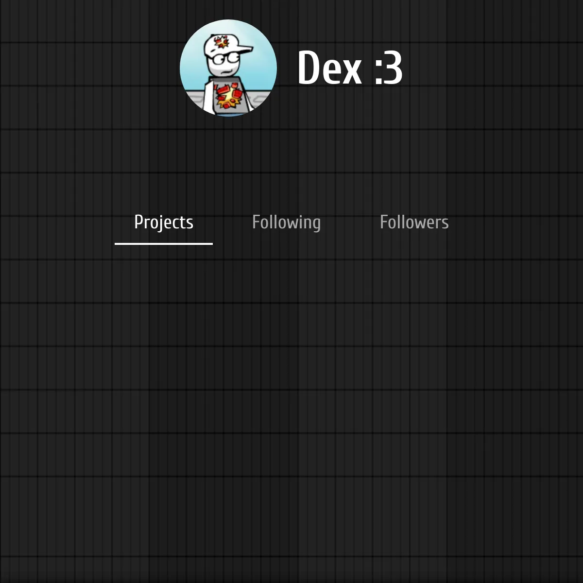 the project is loading