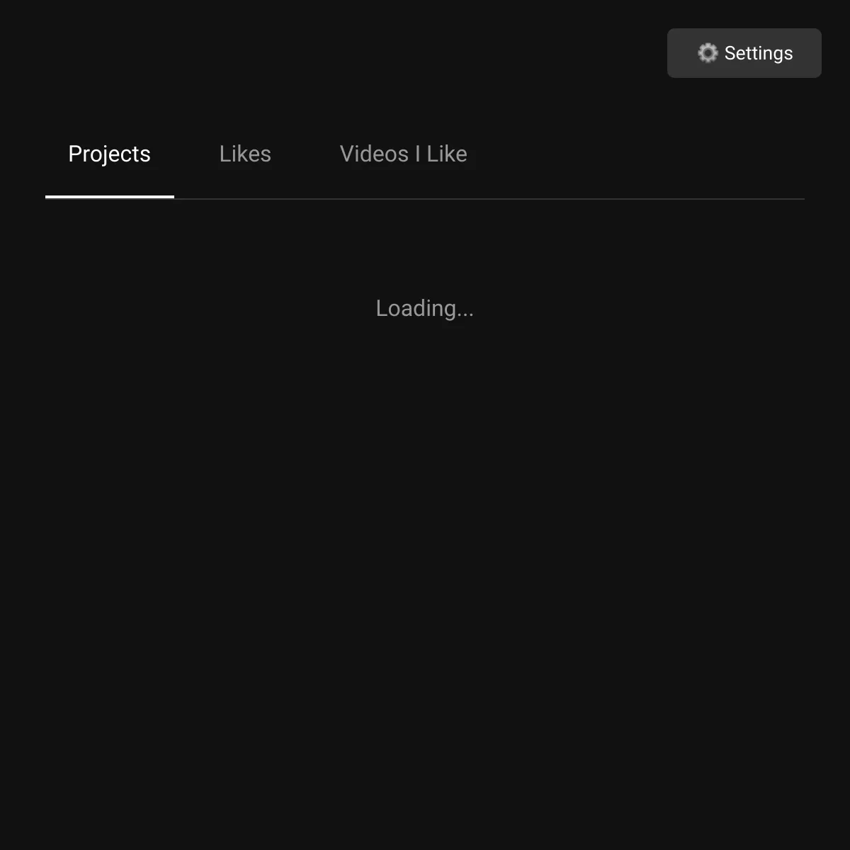 the project is loading