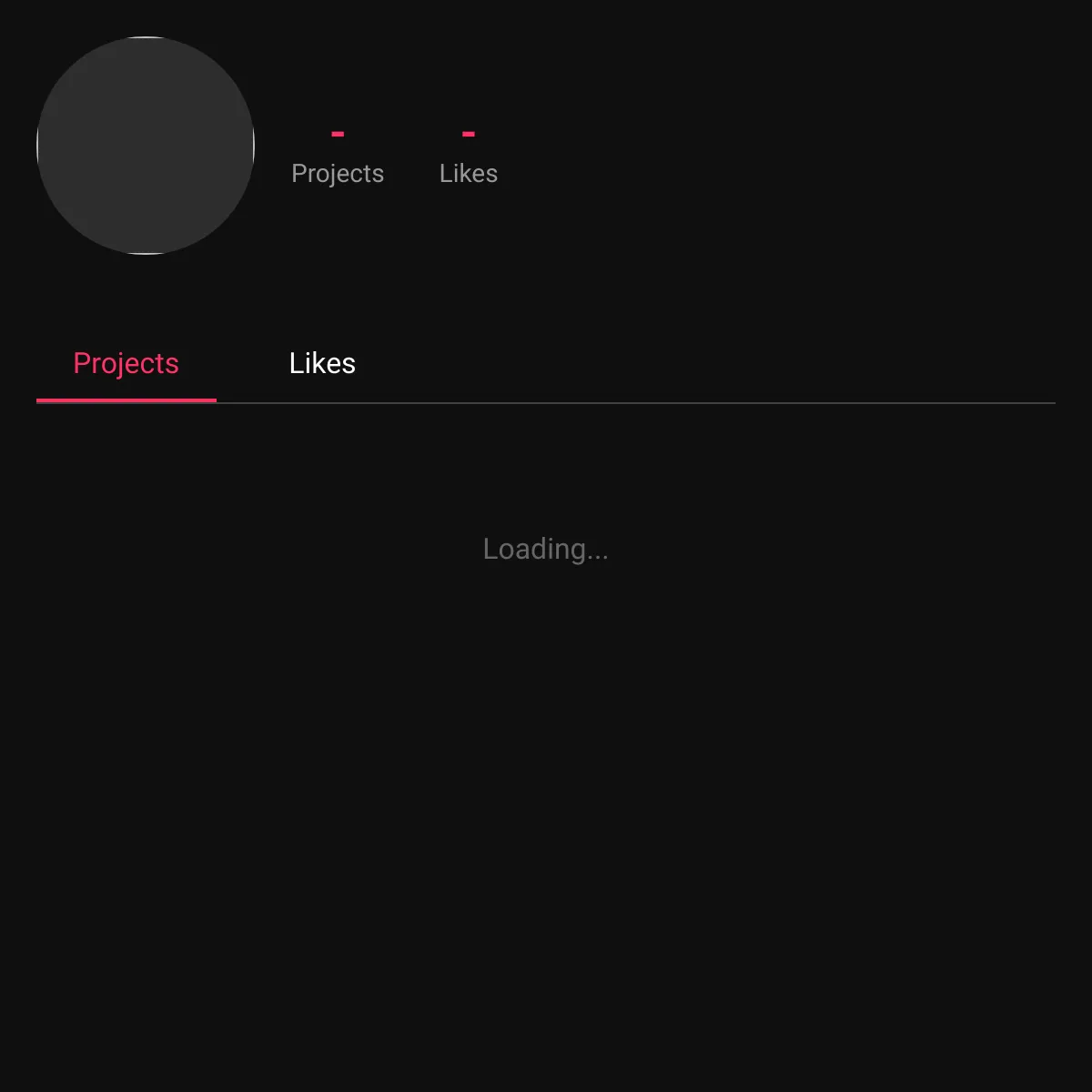 the project is loading