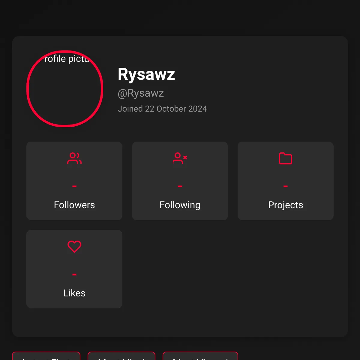 the project is loading