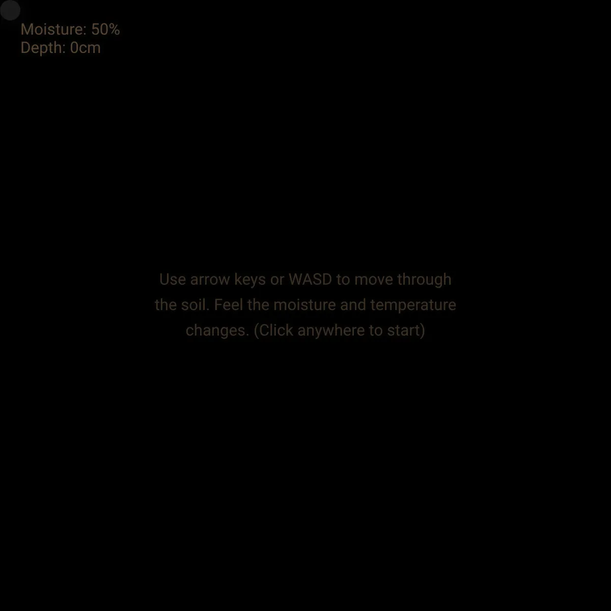 the project is loading