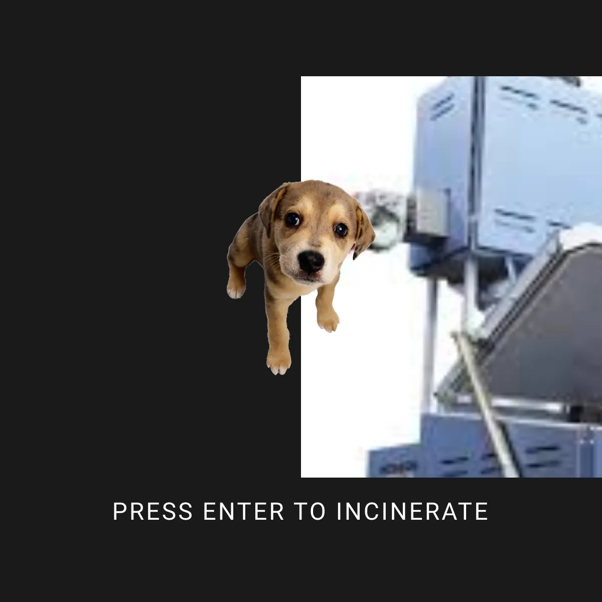 the project is loading