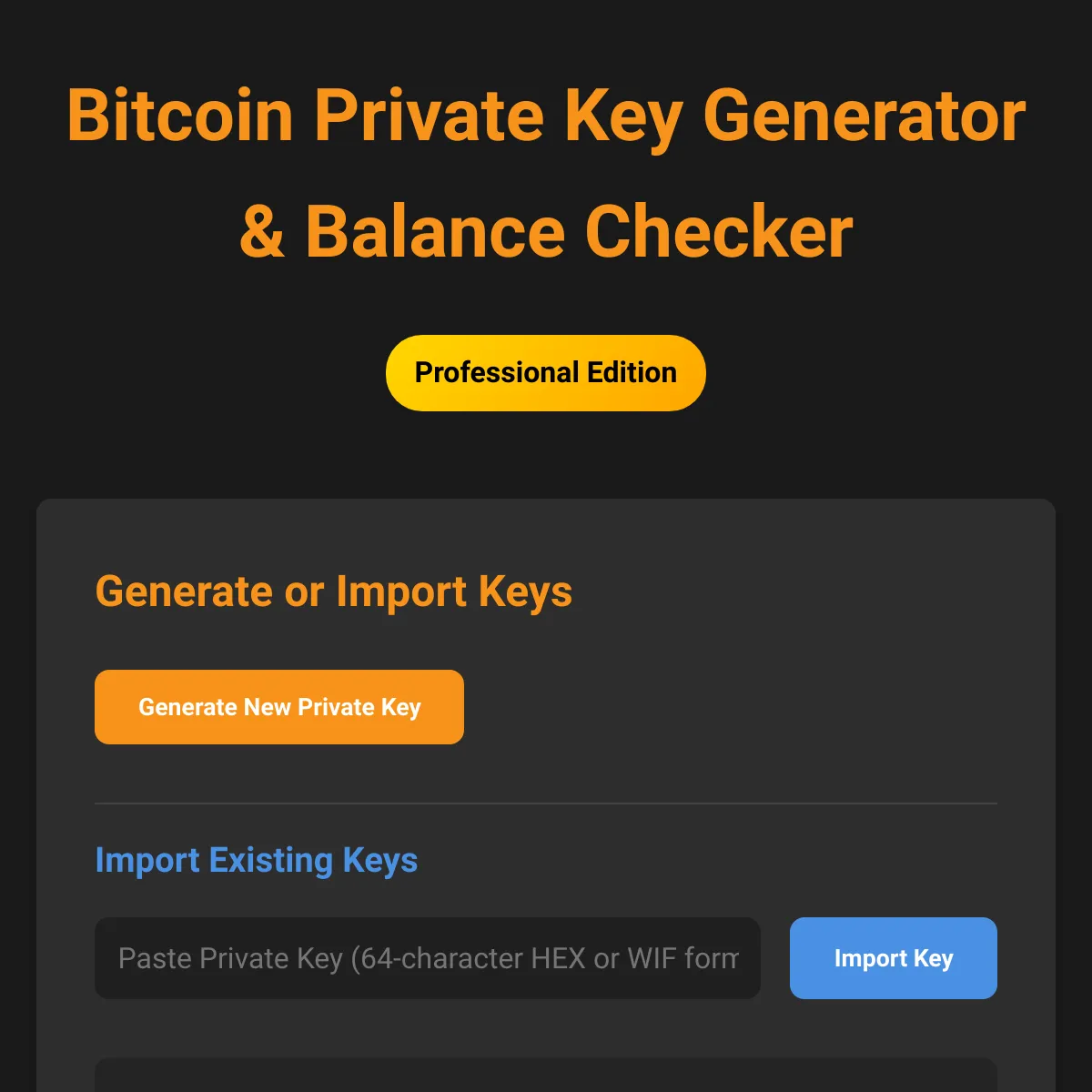 Bitcoin Private Key Generator & Balance Checker - Professional Edition