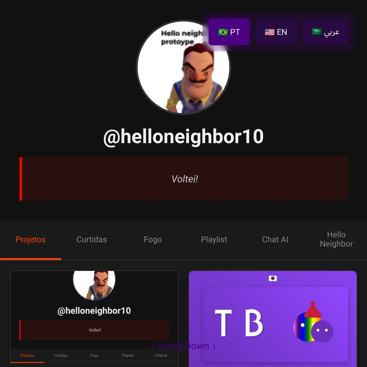 the project is loading