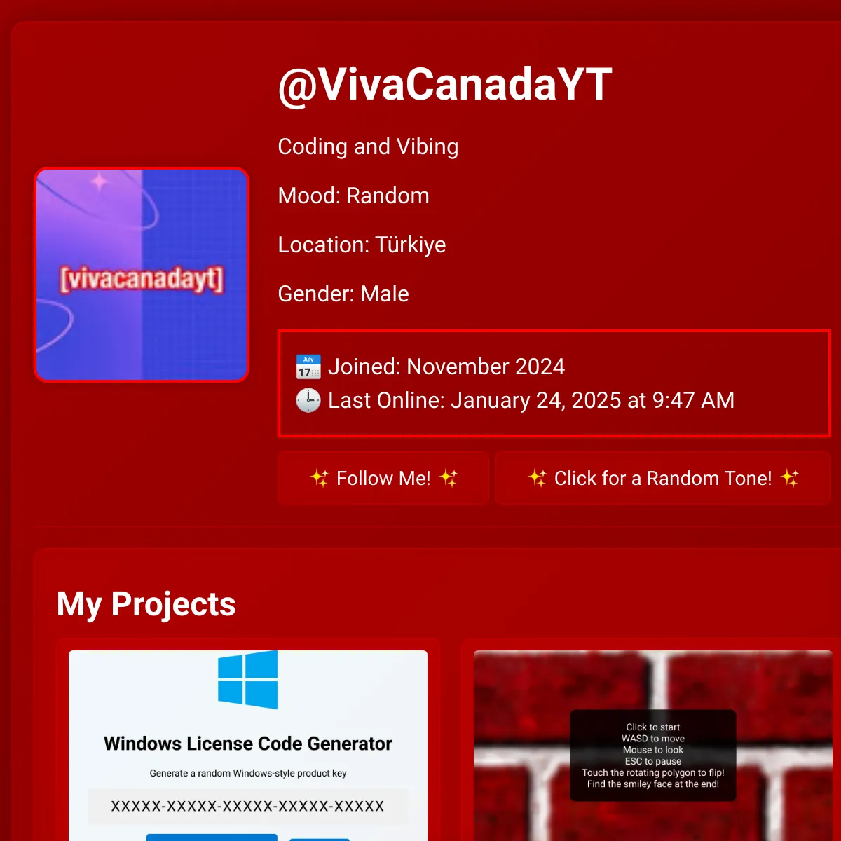 the project is loading