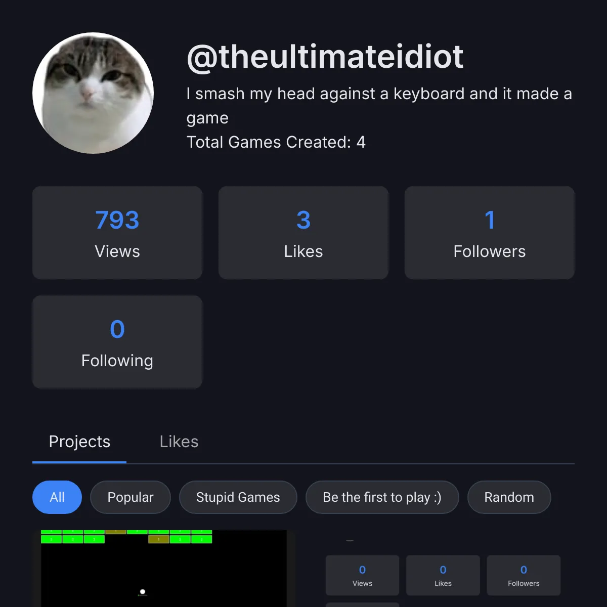 the project is loading