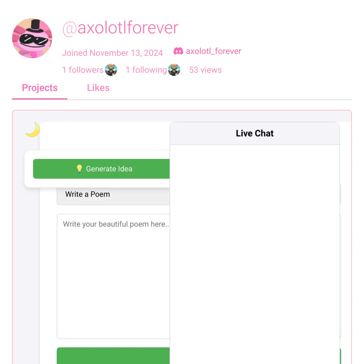 the project is loading