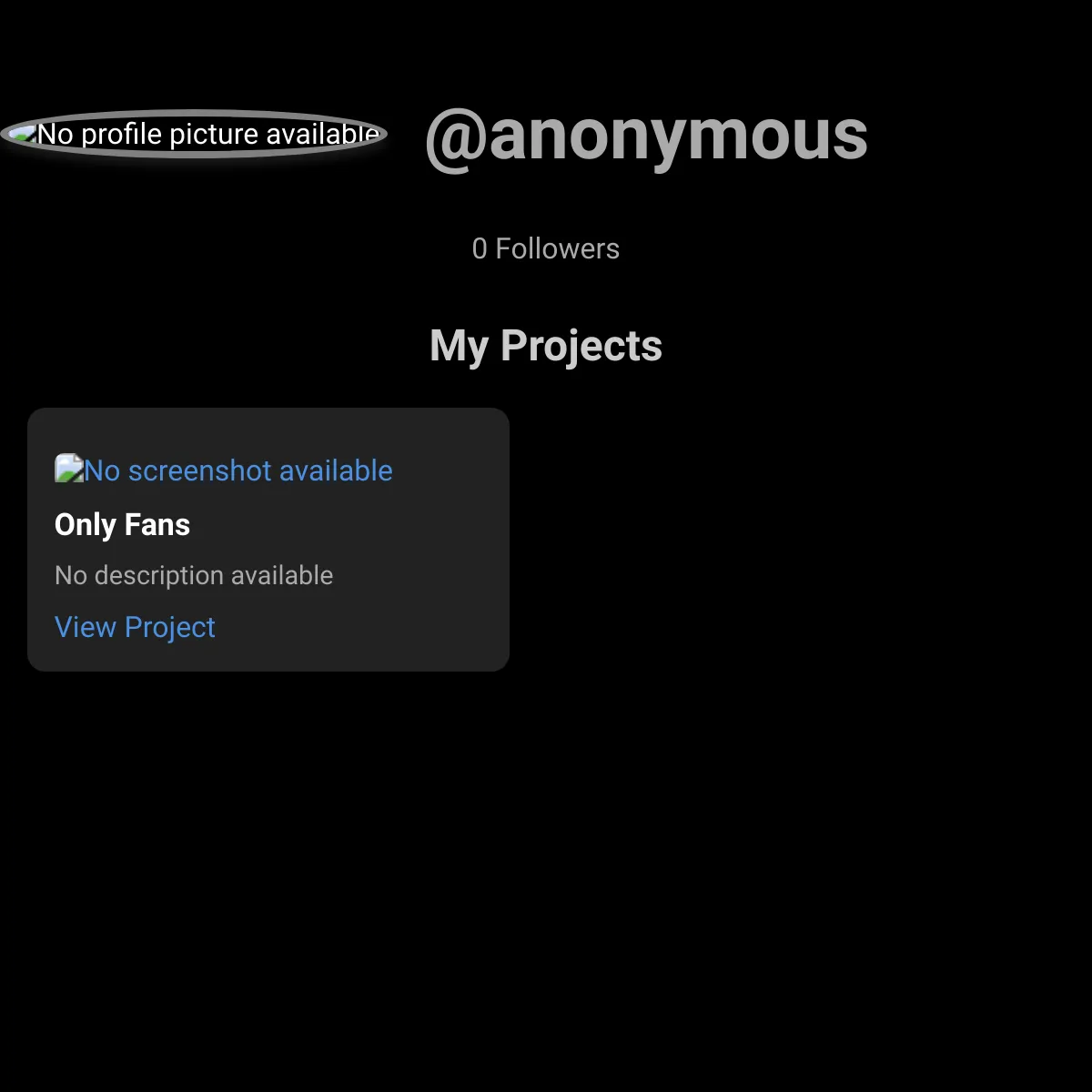 the project is loading