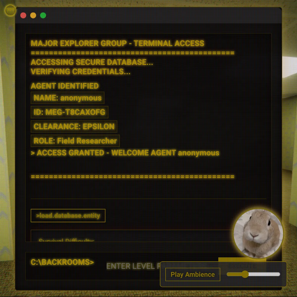 BACKROOMS TERMINAL V2.2