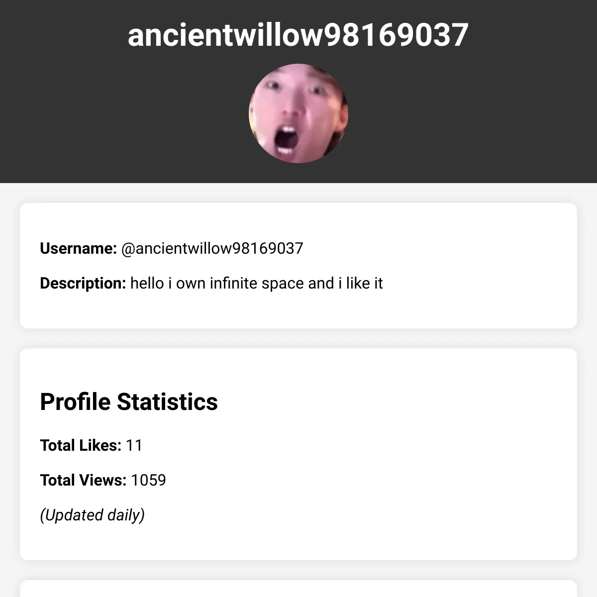 the project is loading