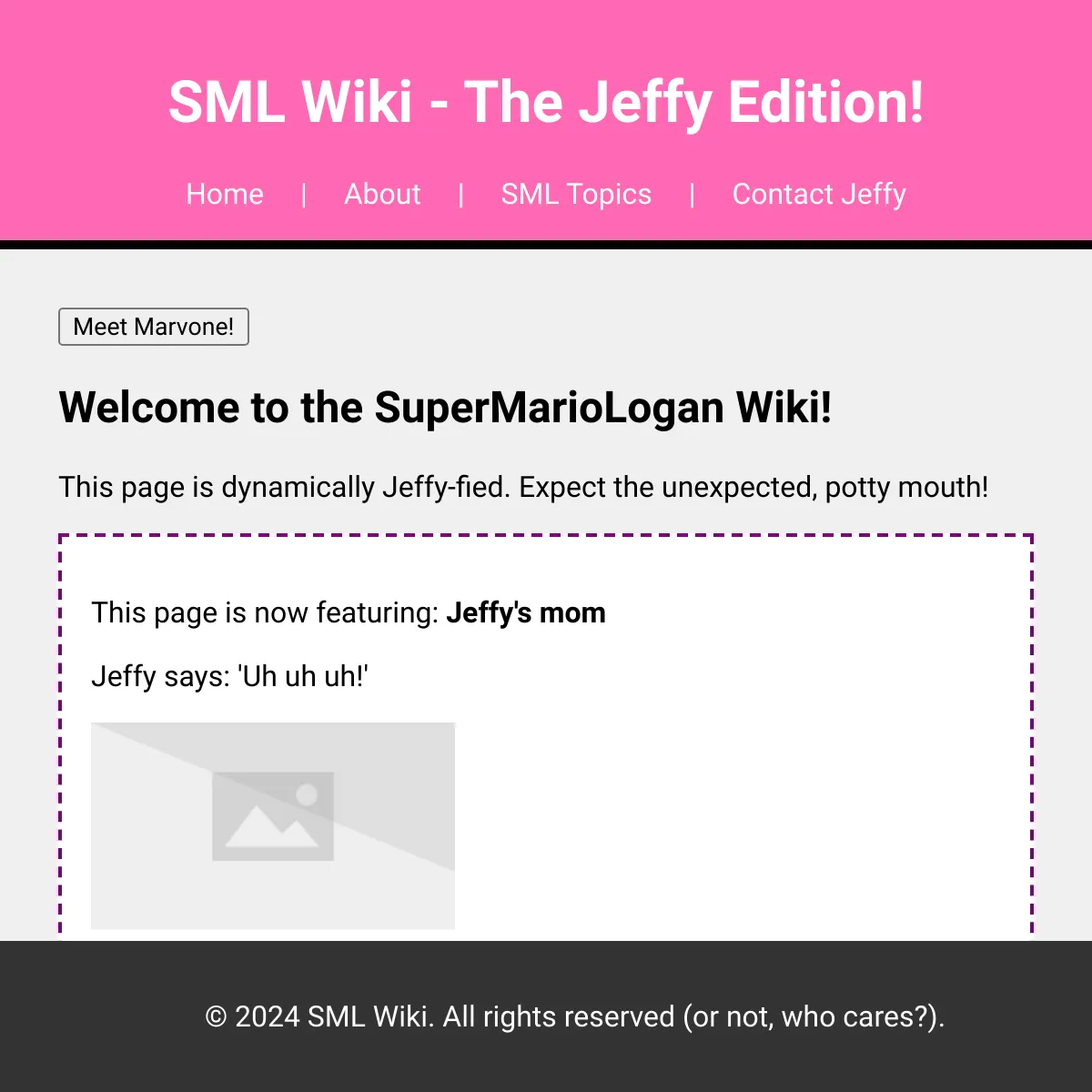 the project is loading