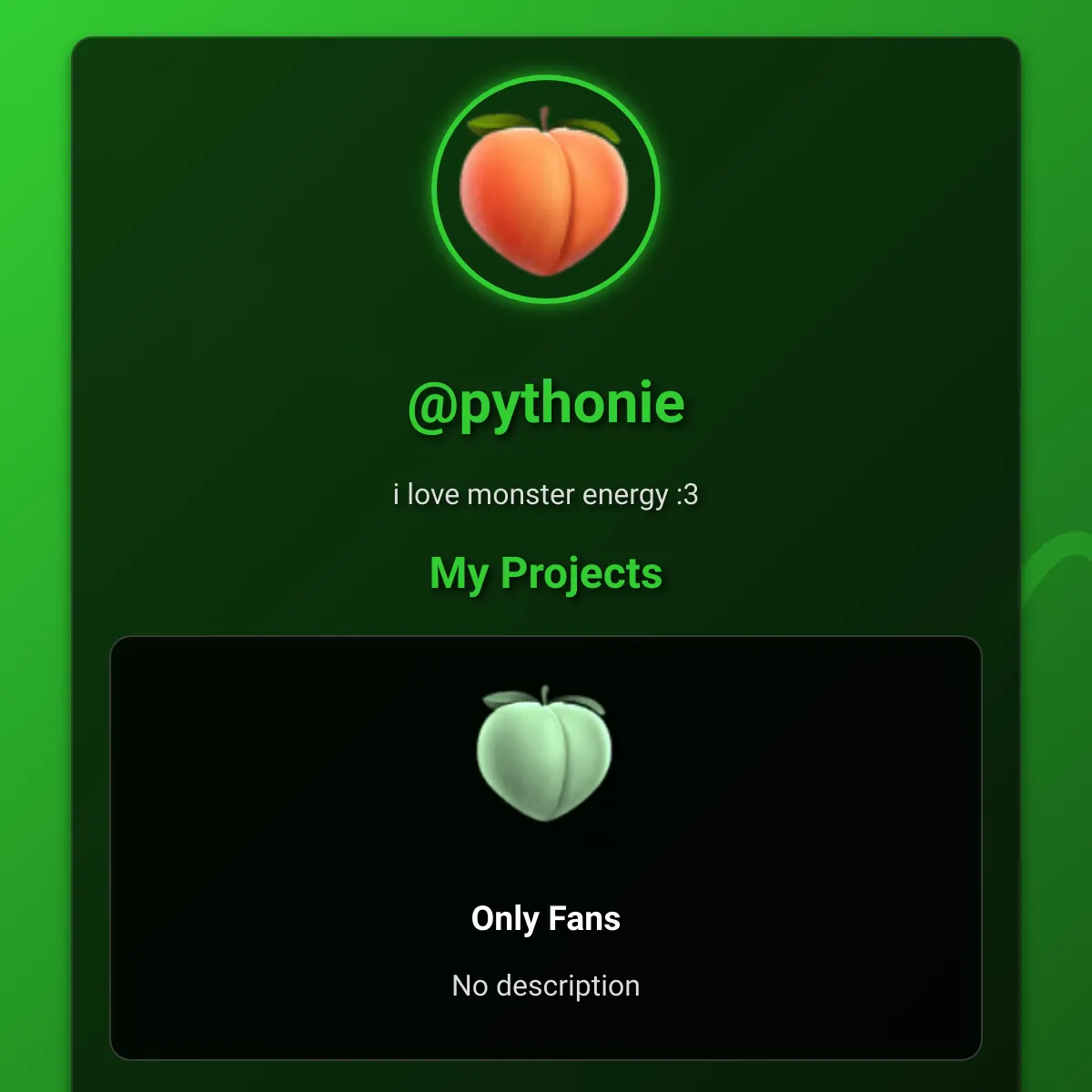 the project is loading