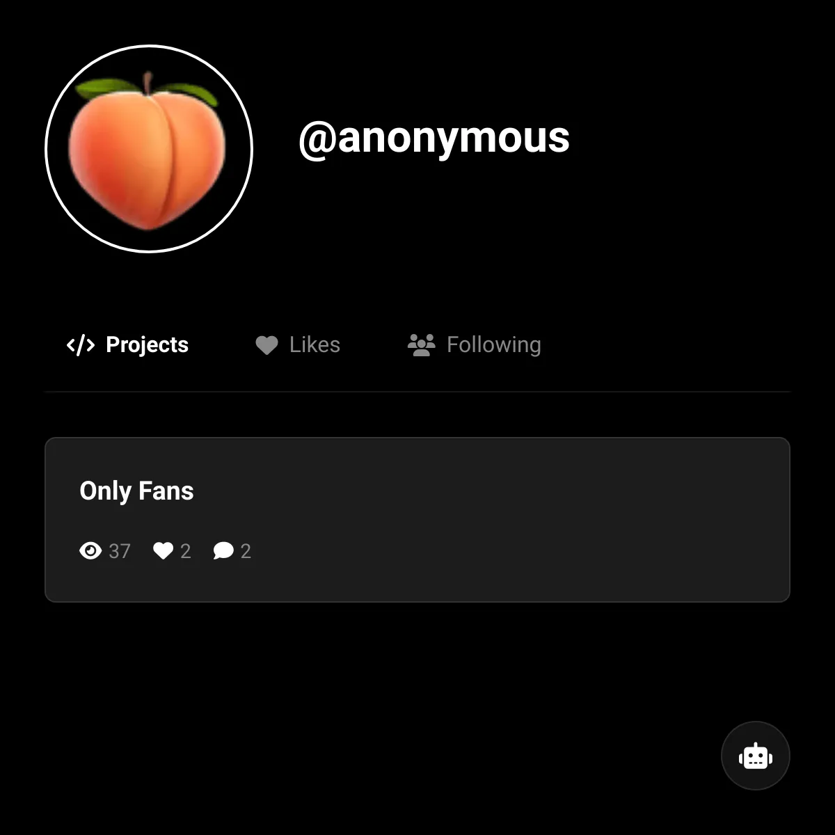 the project is loading