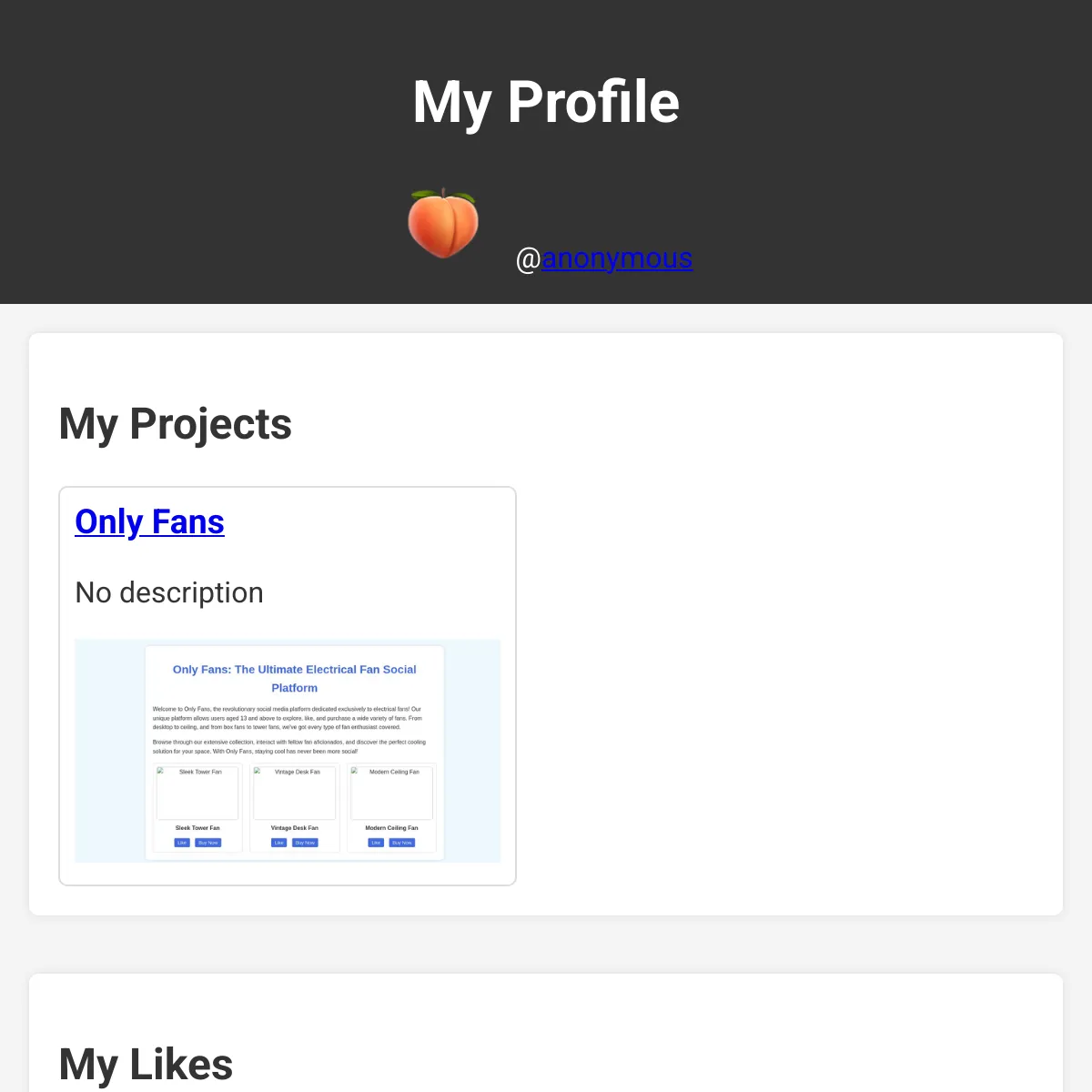 the project is loading