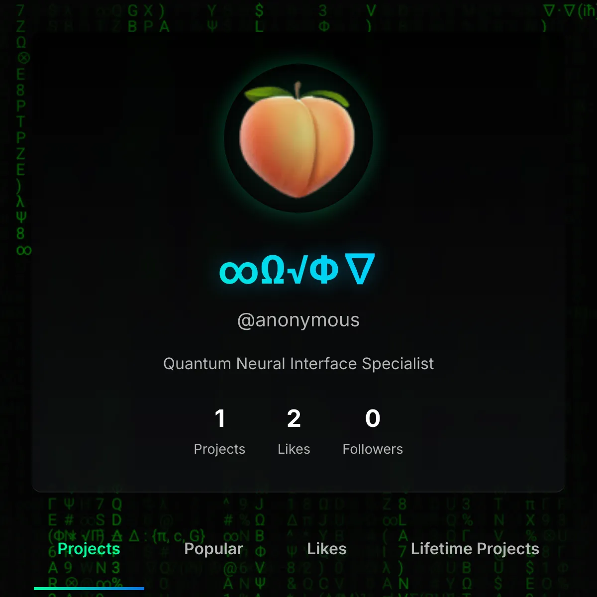 the project is loading