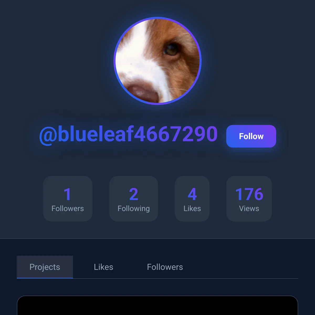 the project is loading