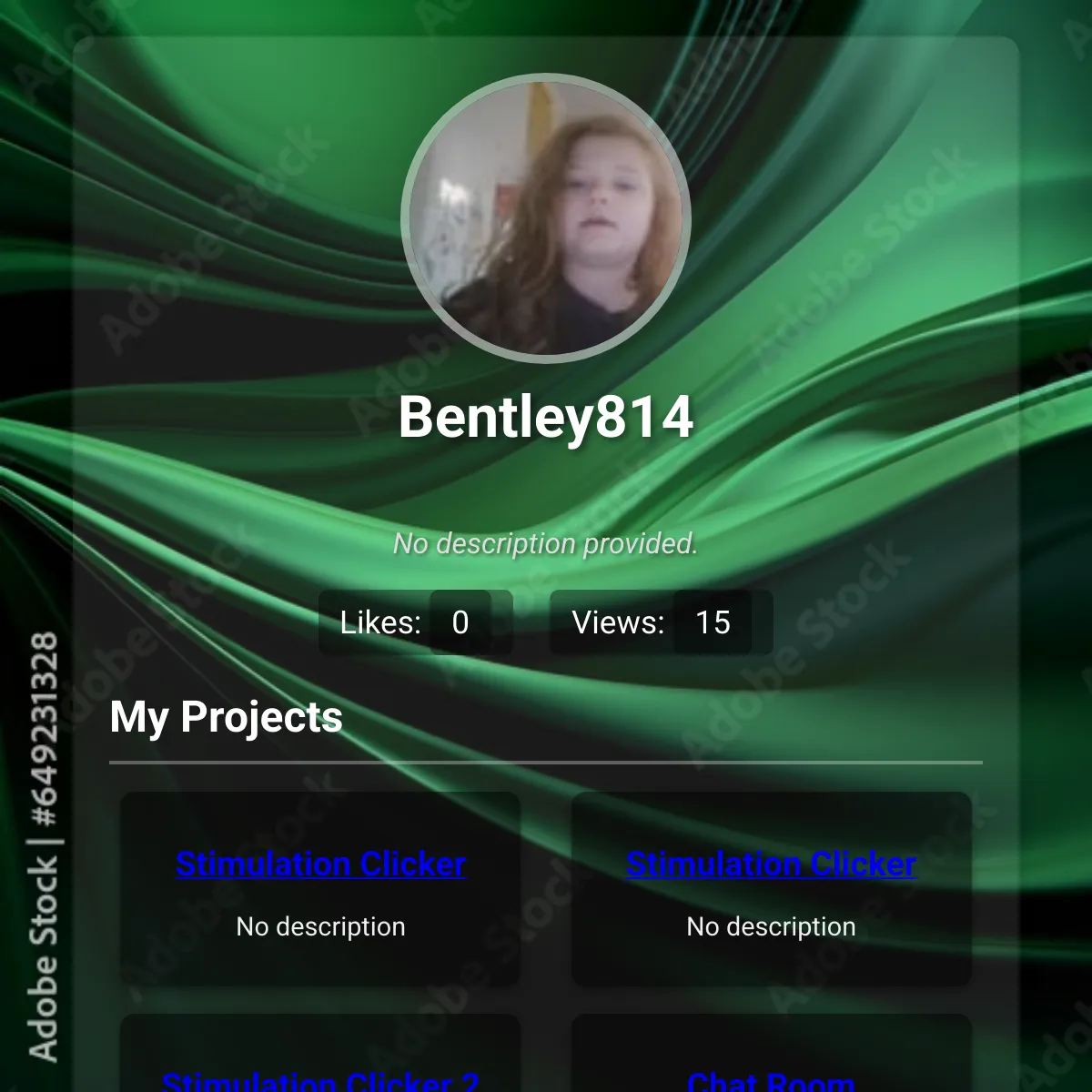 the project is loading