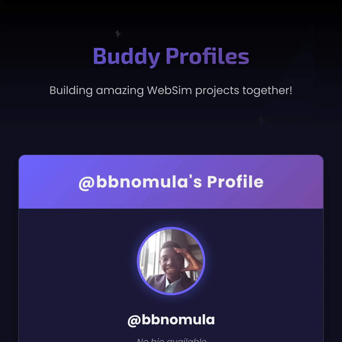 the project is loading