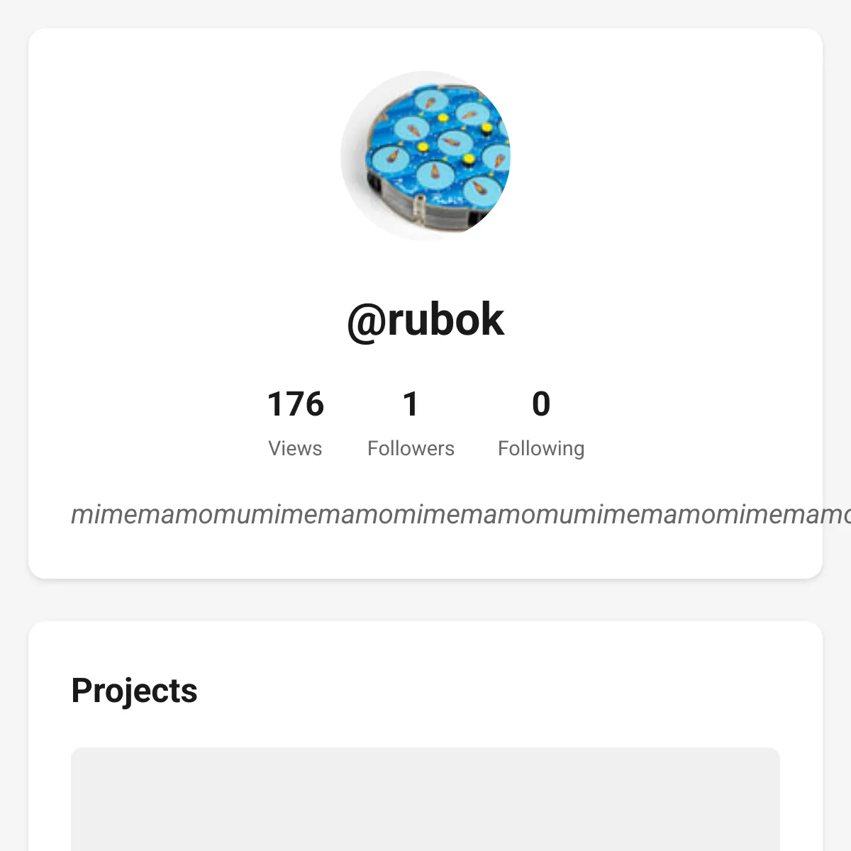 the project is loading