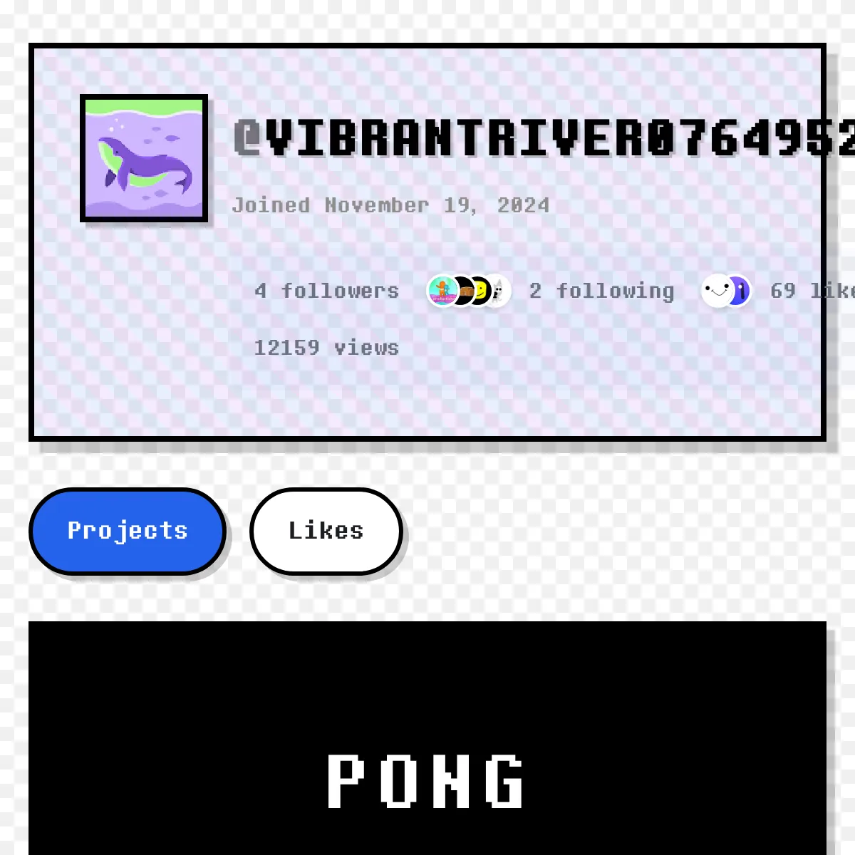 the project is loading