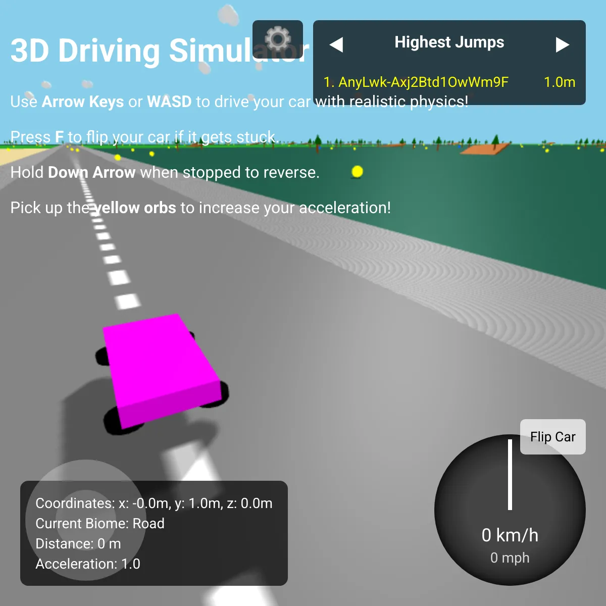 3D Driving Simulator with Realistic Physics