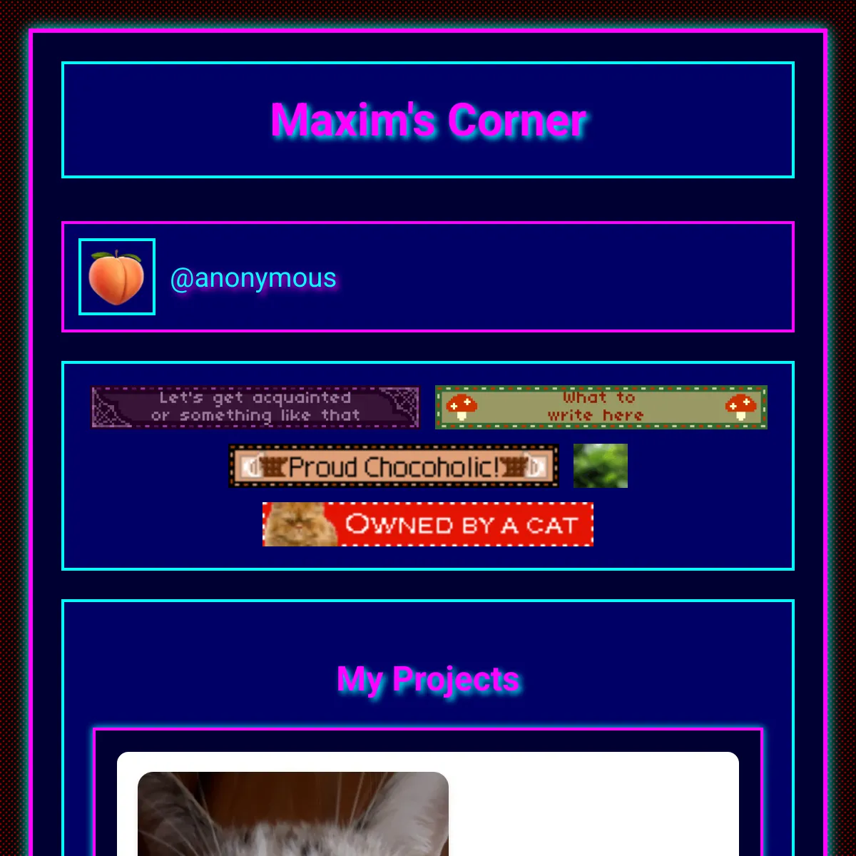 the project is loading