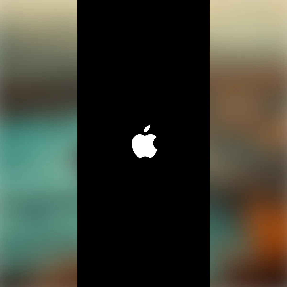 the project is loading