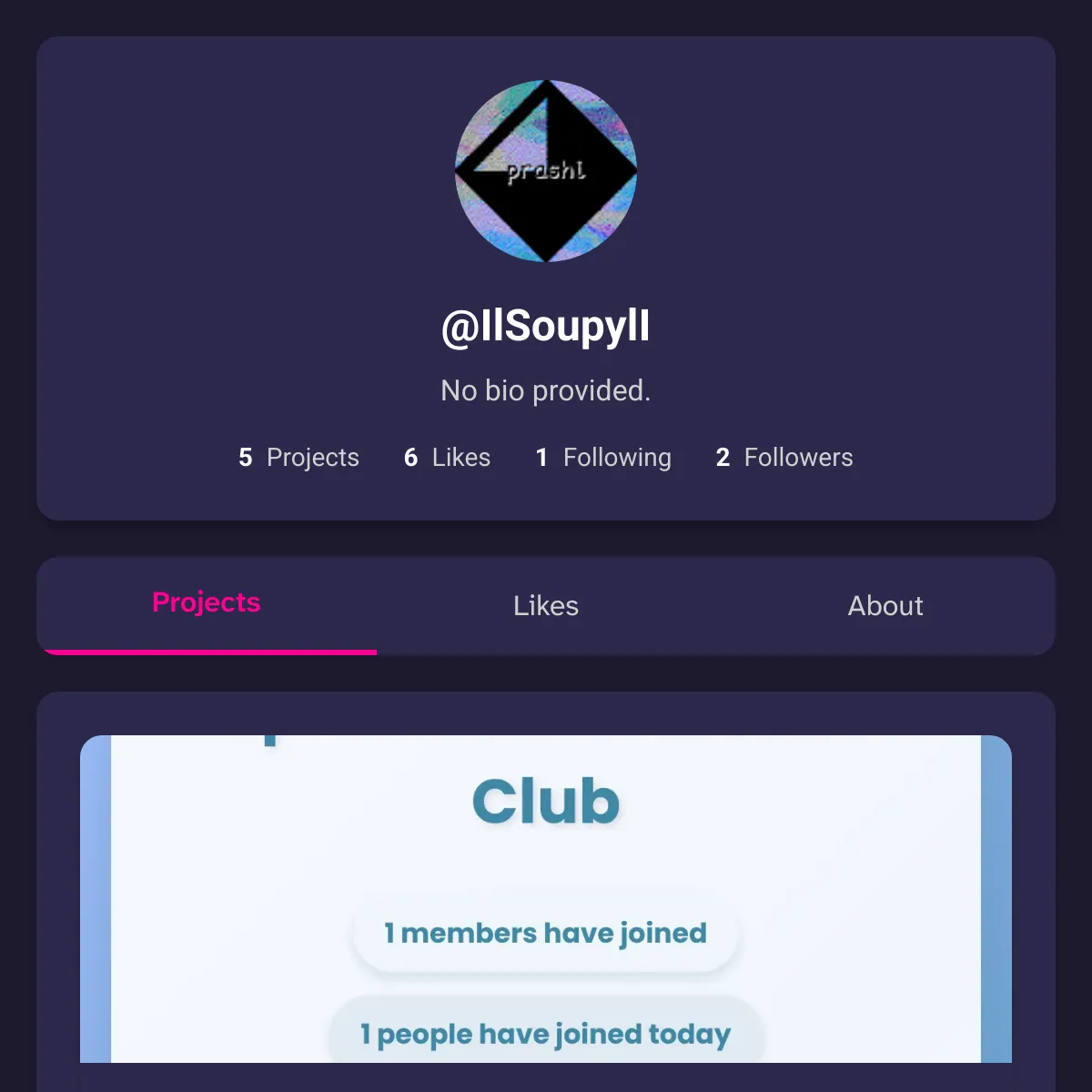 the project is loading