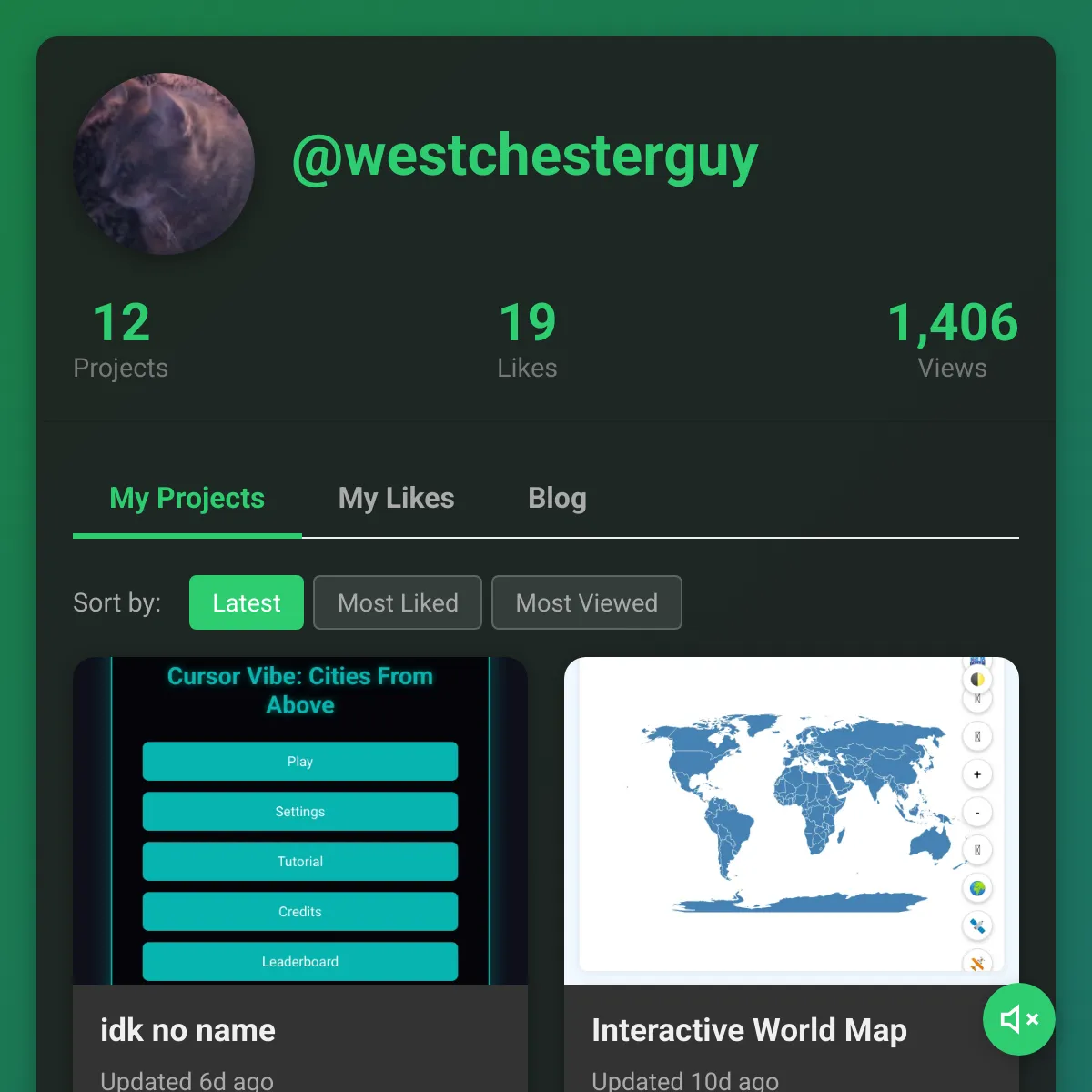 the project is loading