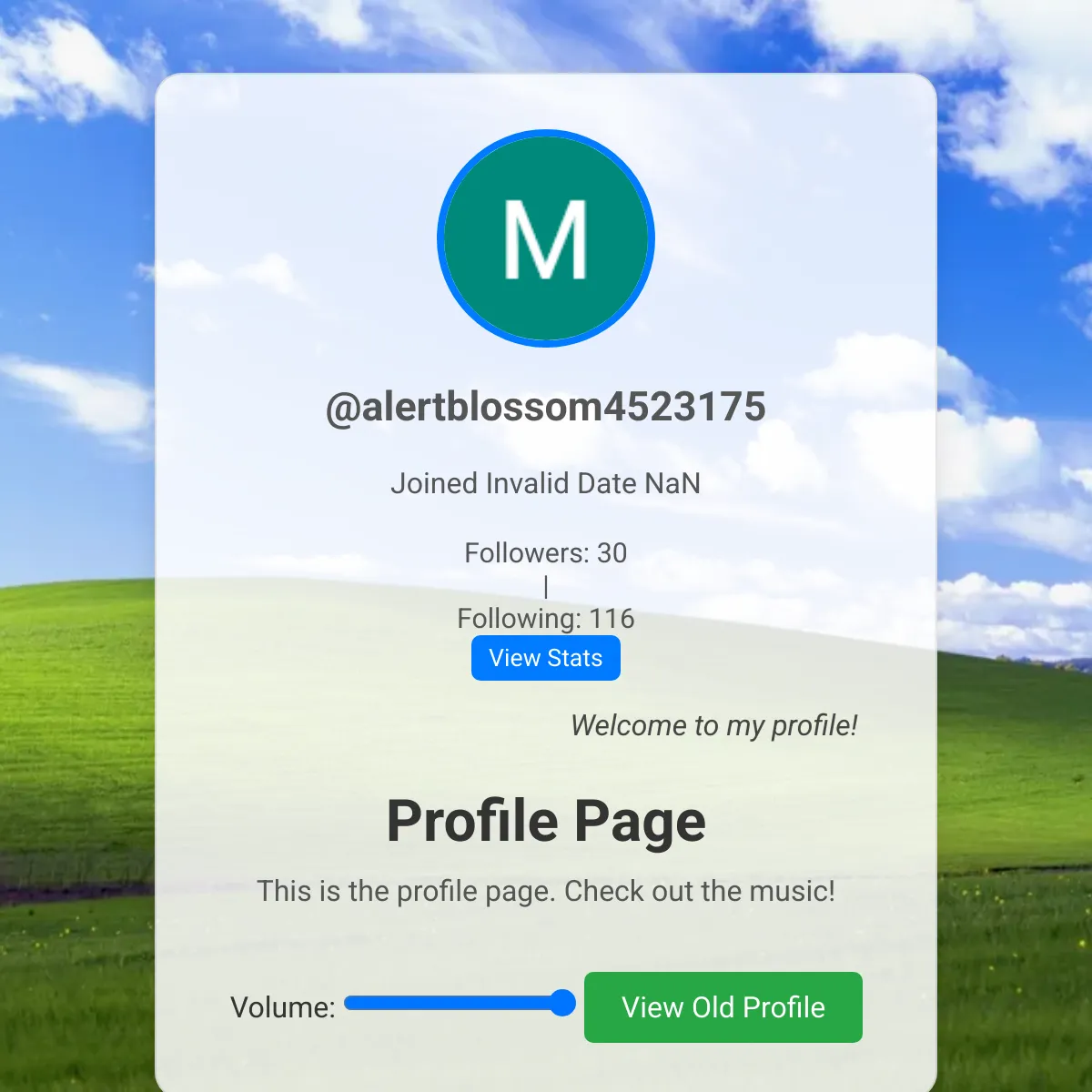 the project is loading