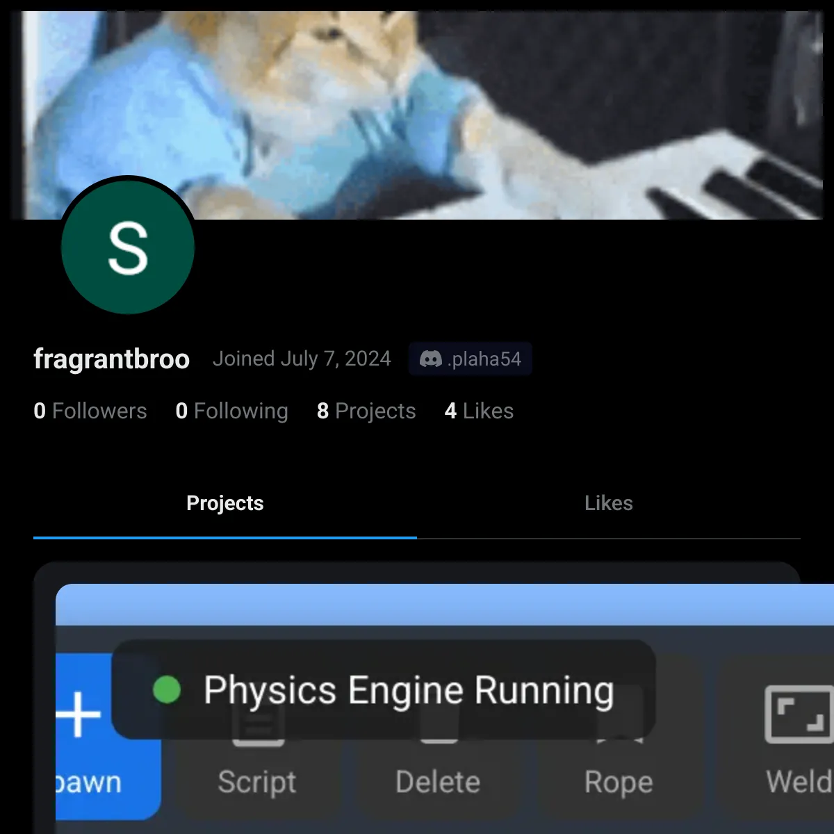 the project is loading