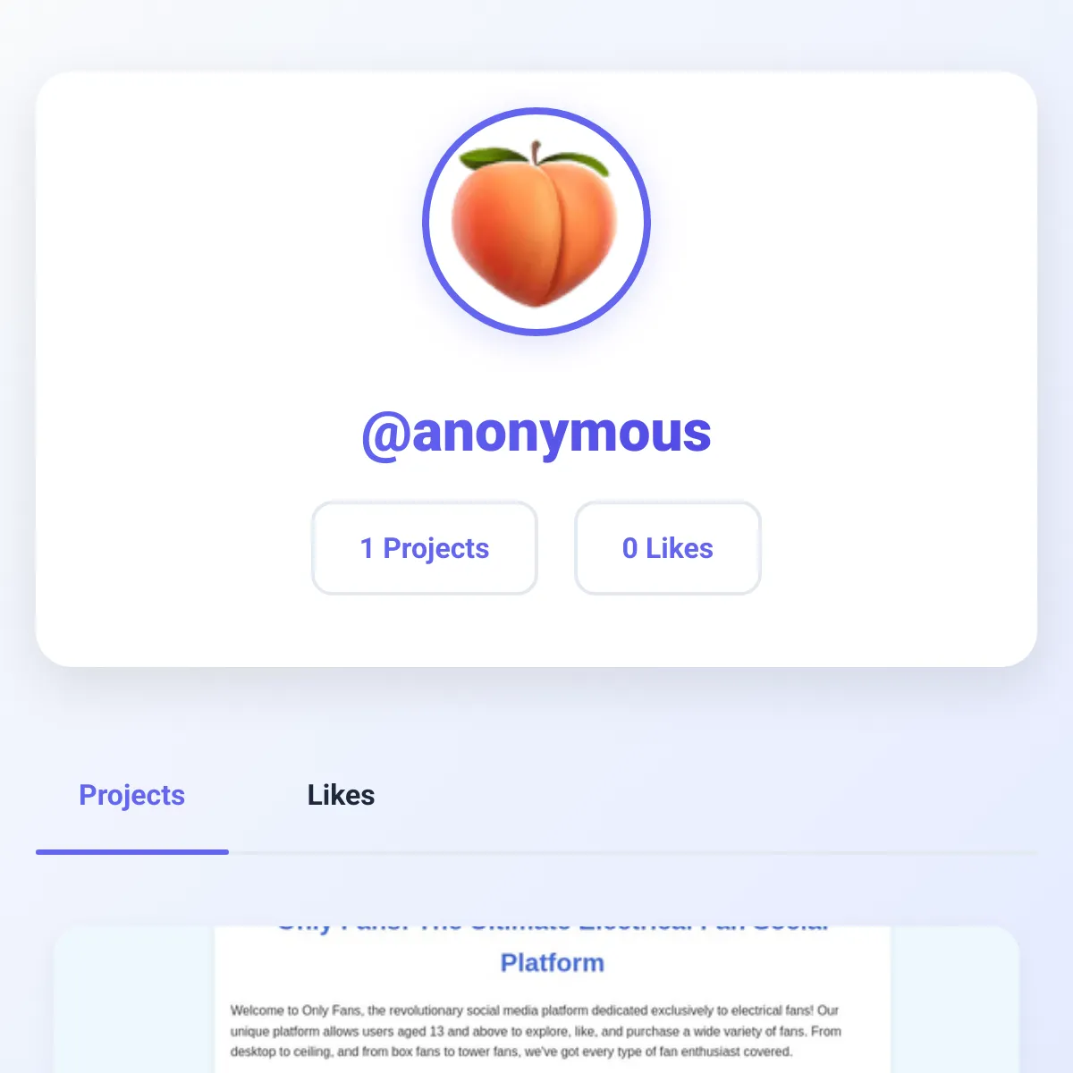 the project is loading