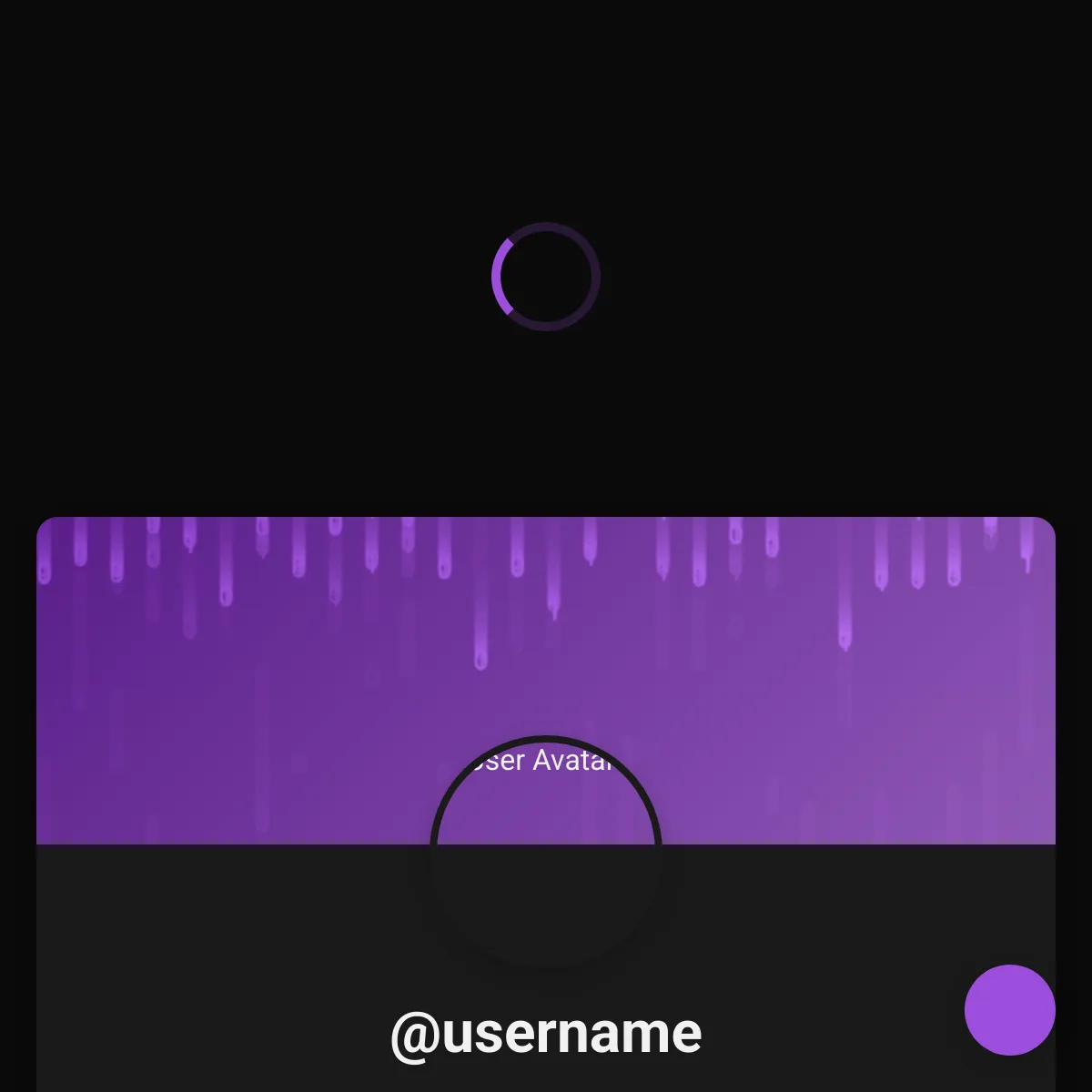 the project is loading