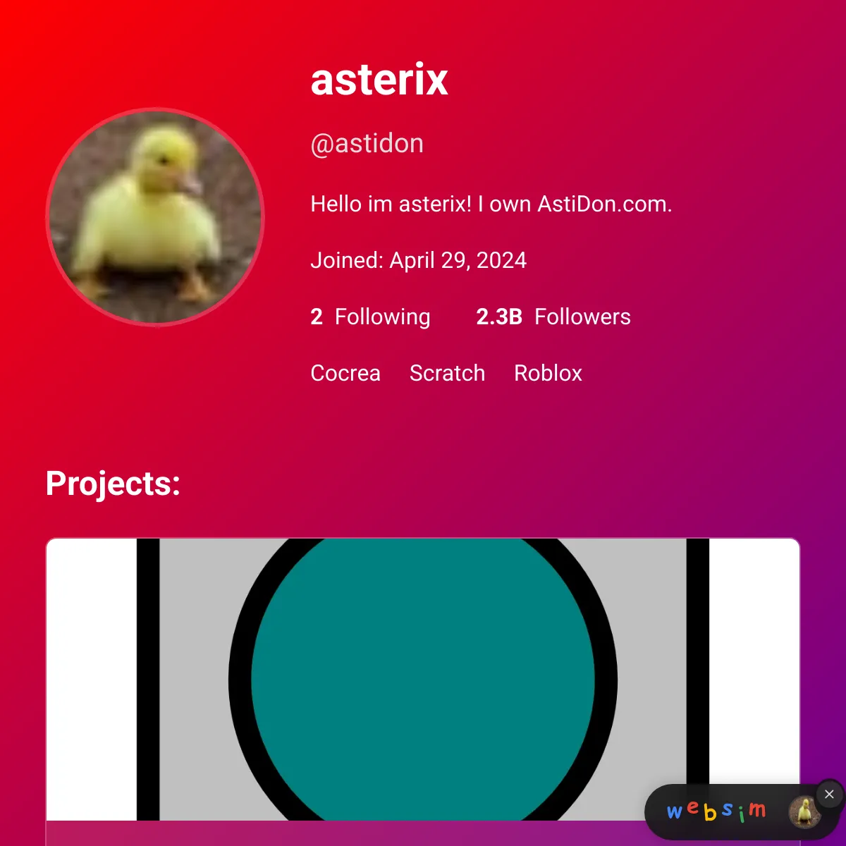 the project is loading