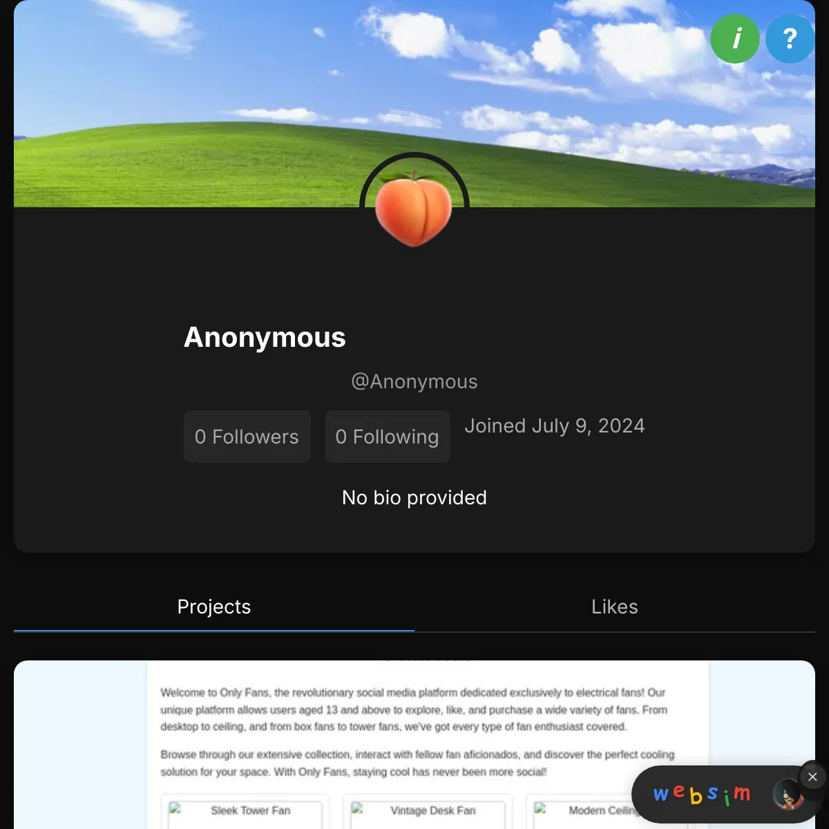 the project is loading