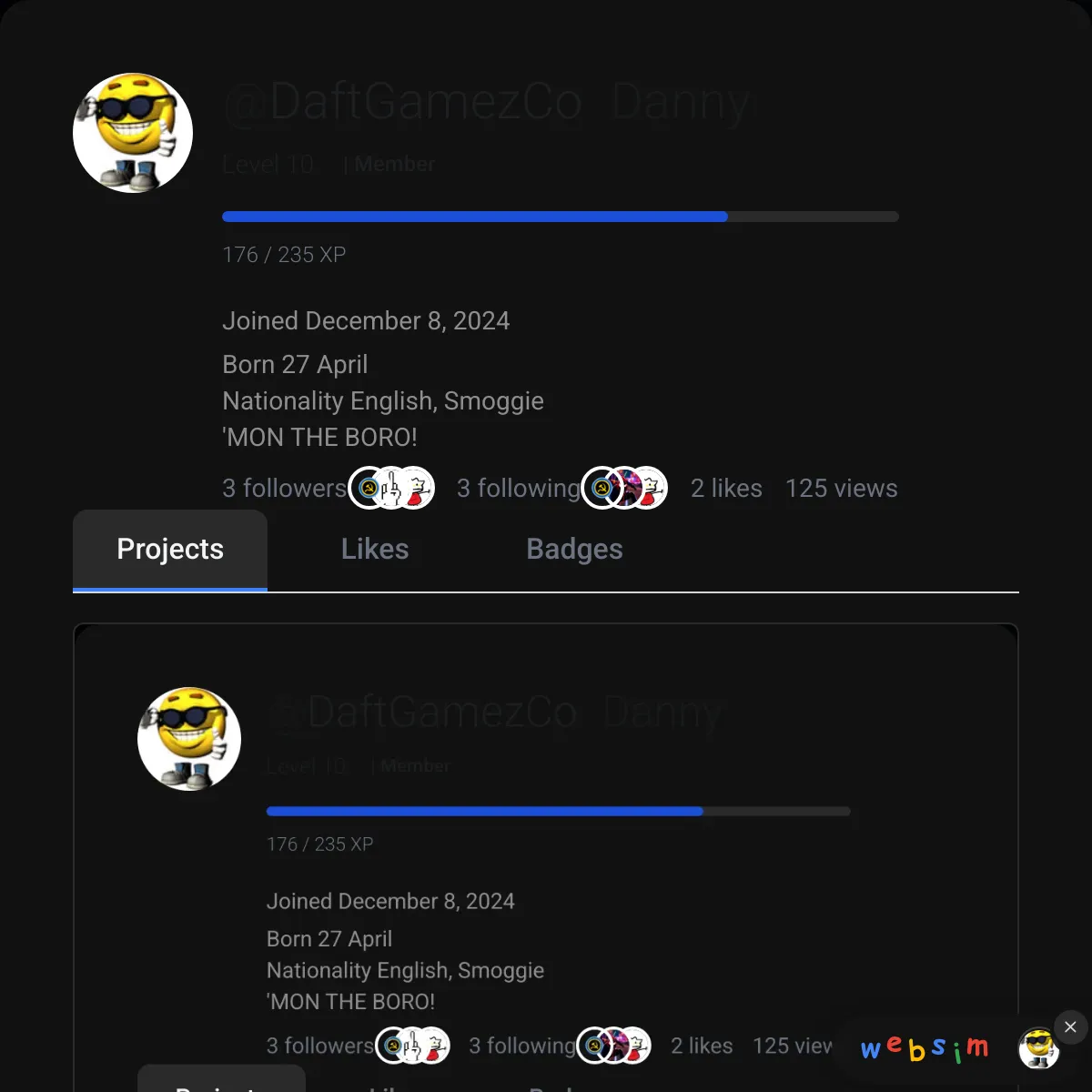 the project is loading