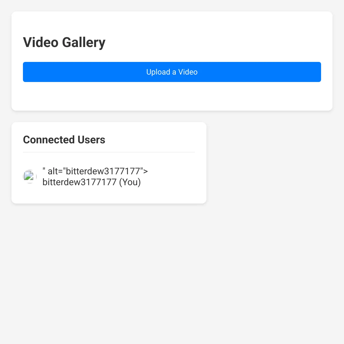 the project is loading