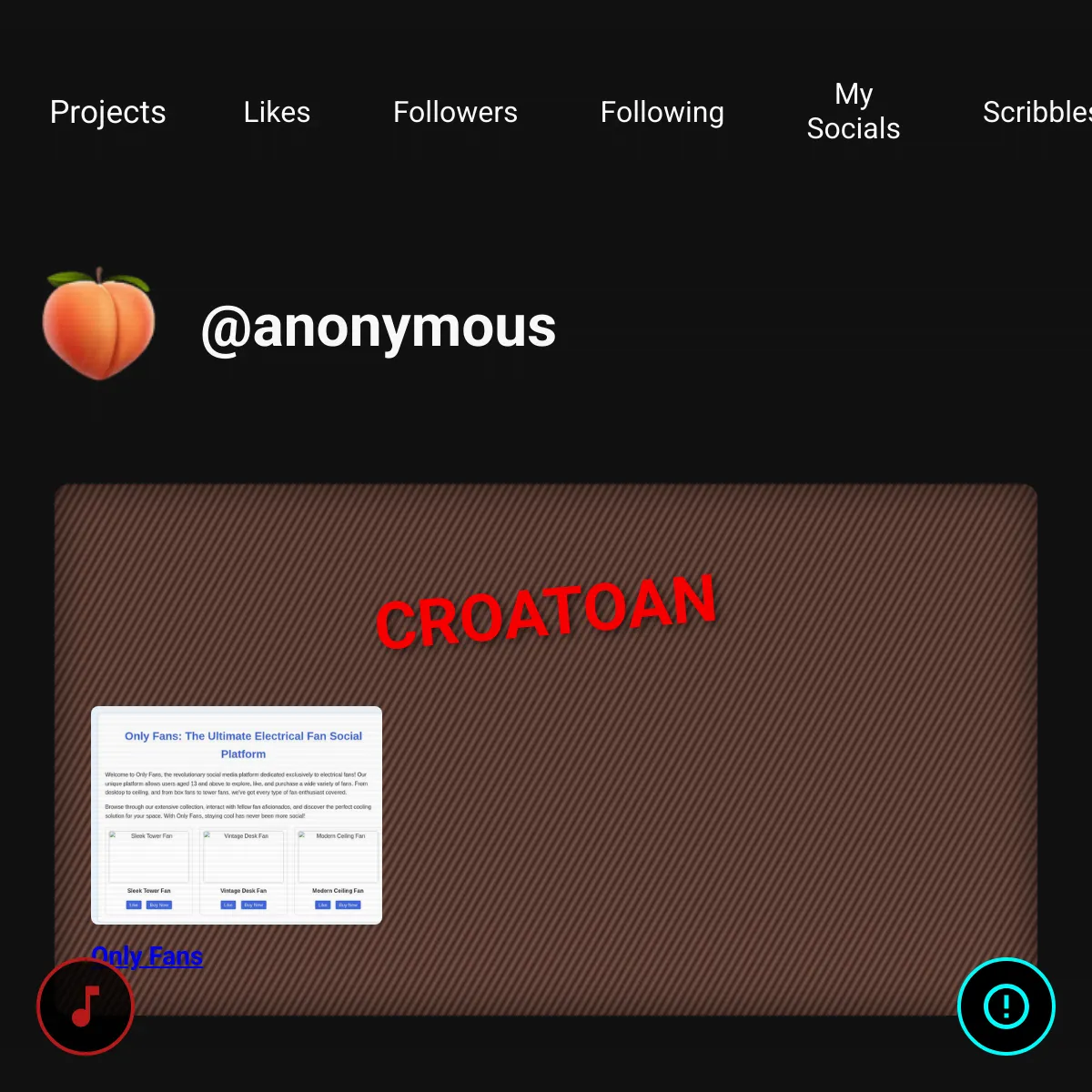 the project is loading