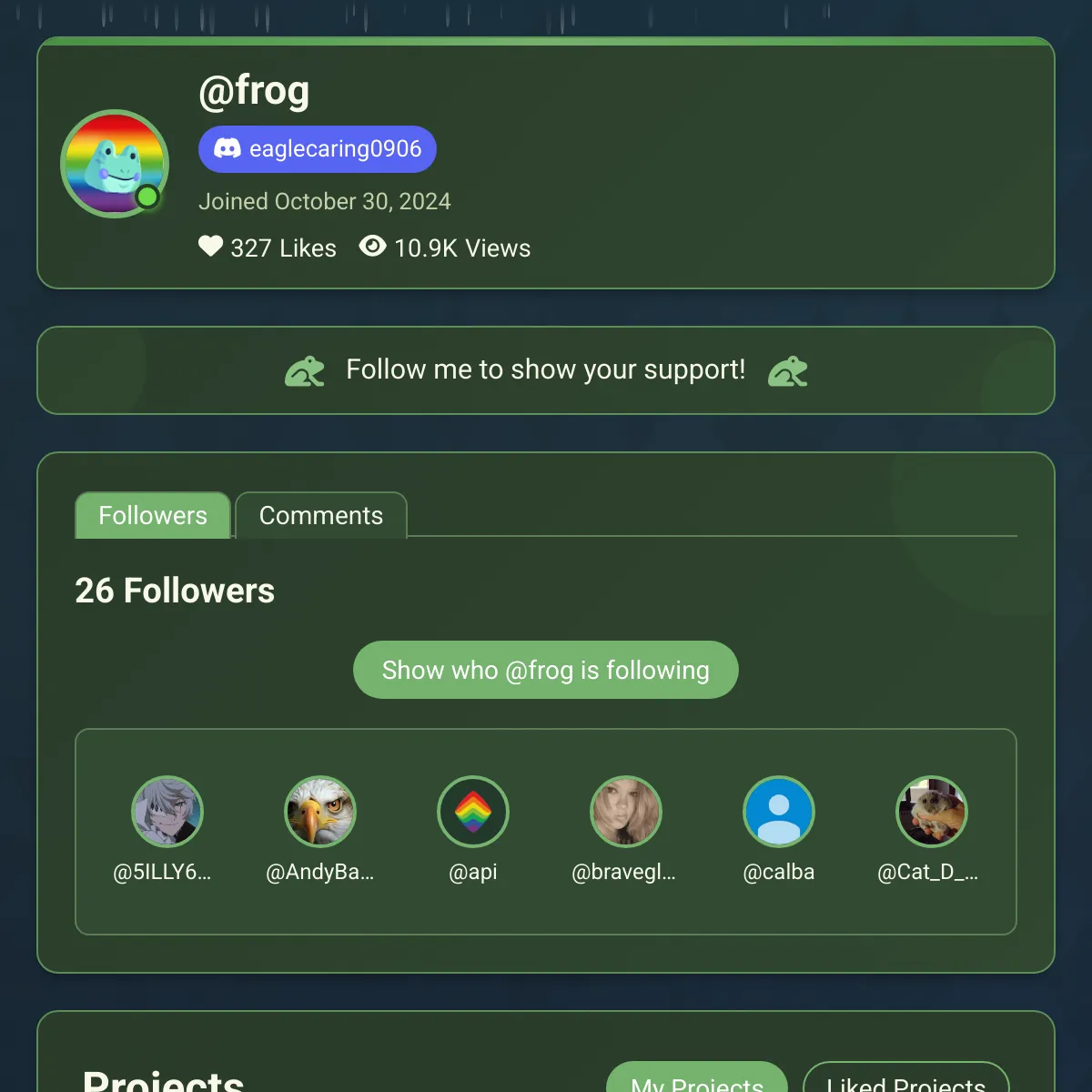 the project is loading