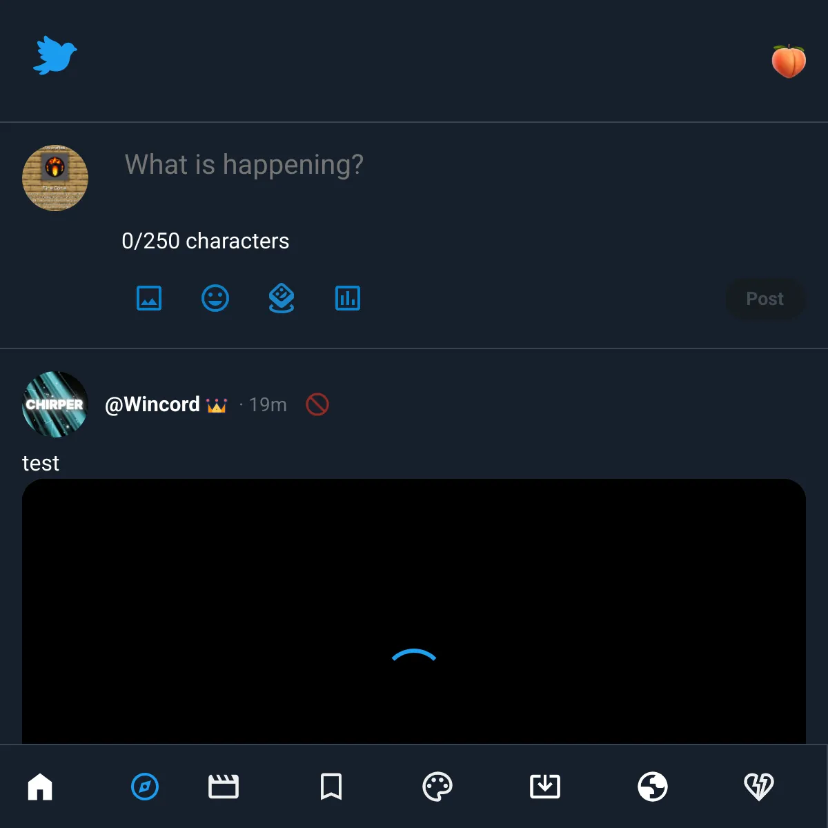 the project is loading