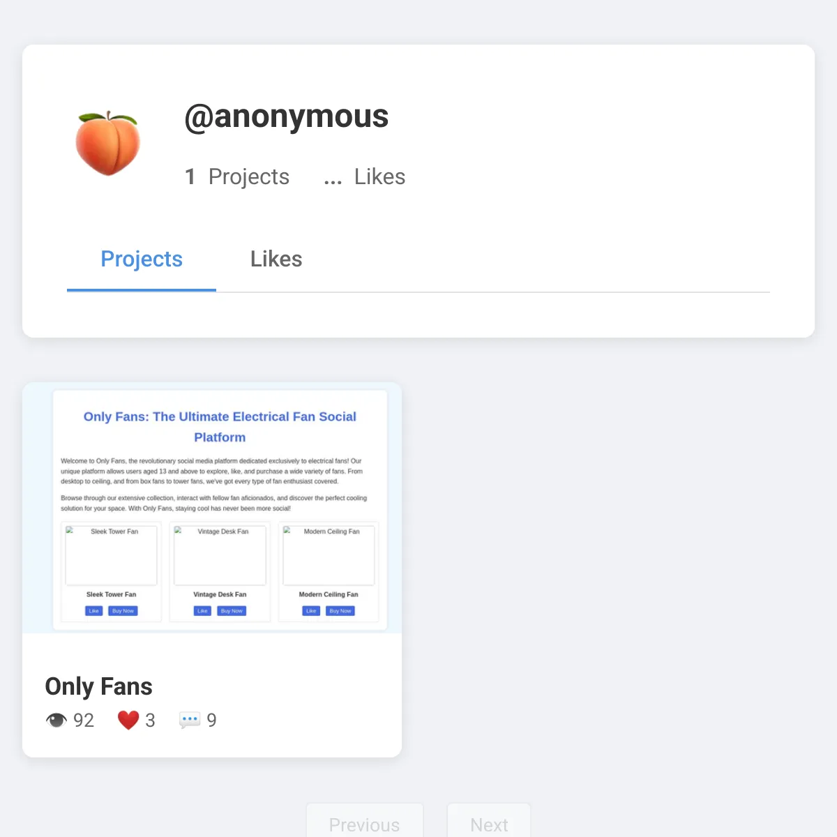 the project is loading