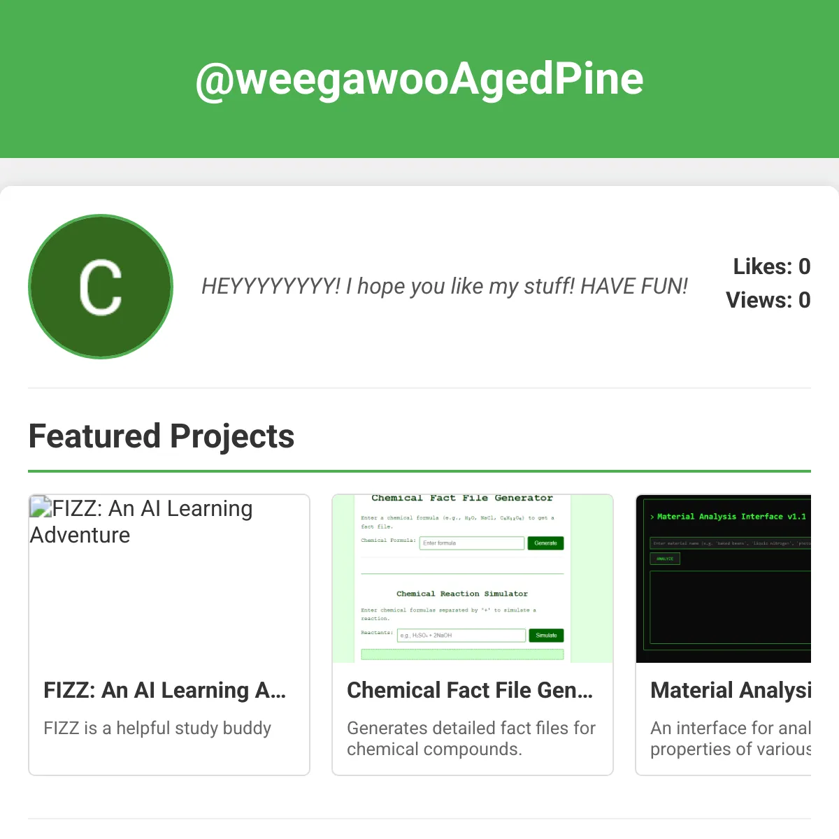 the project is loading