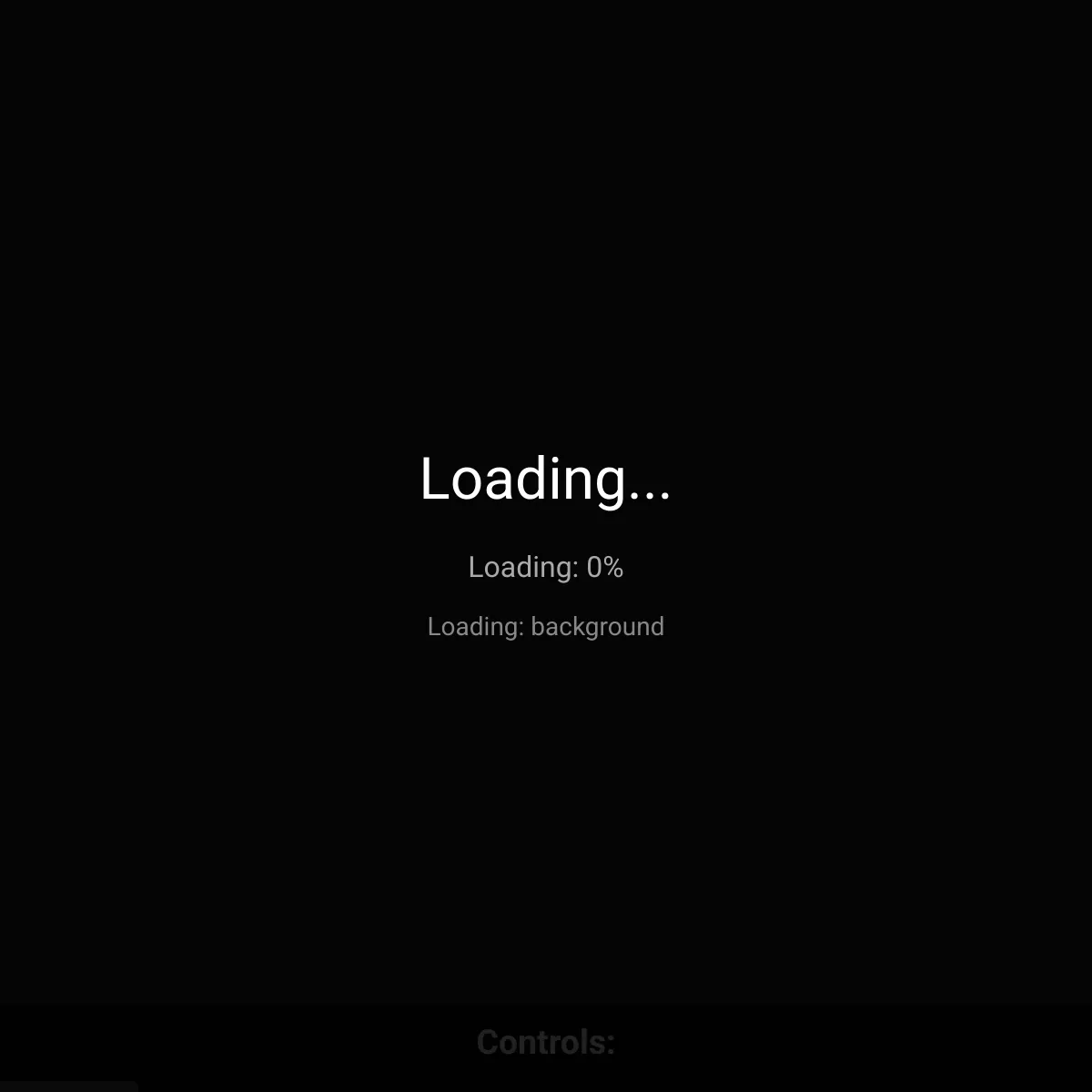 the project is loading