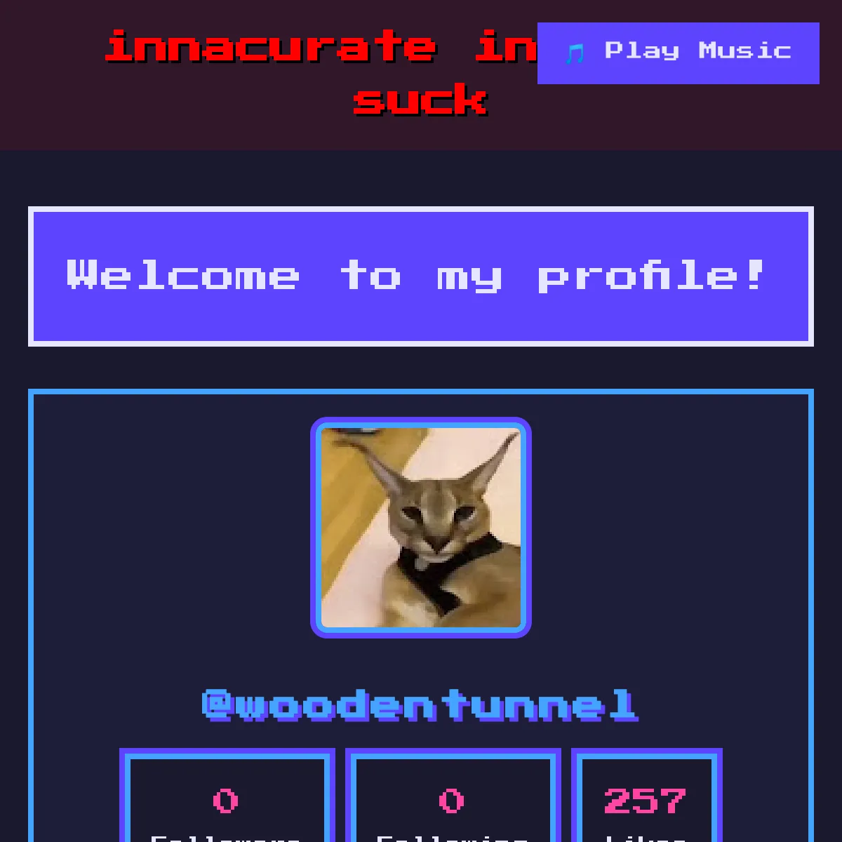 the project is loading