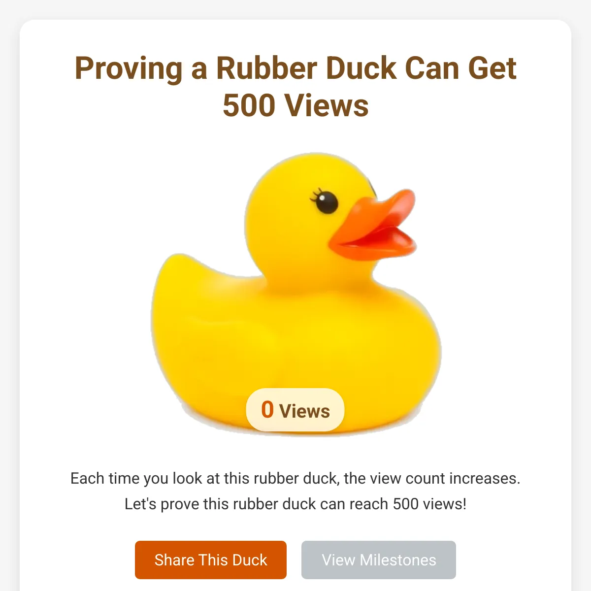 the project is loading